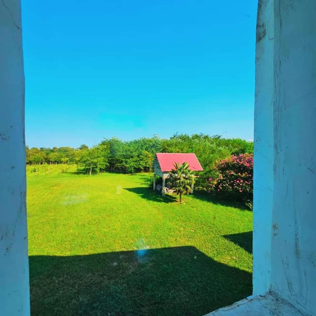 Blue Guest House Samtredia Esterno foto