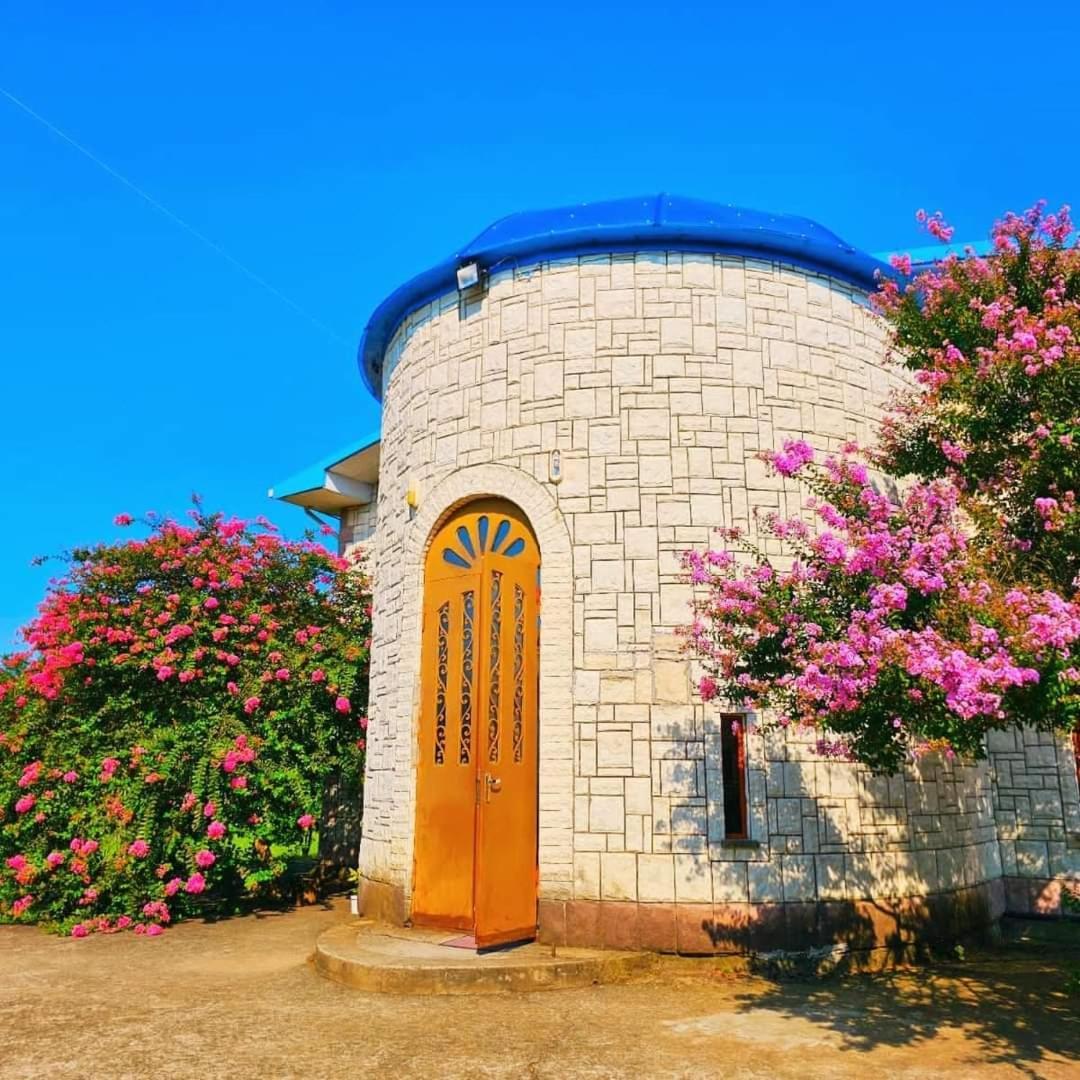 Blue Guest House Samtredia Esterno foto