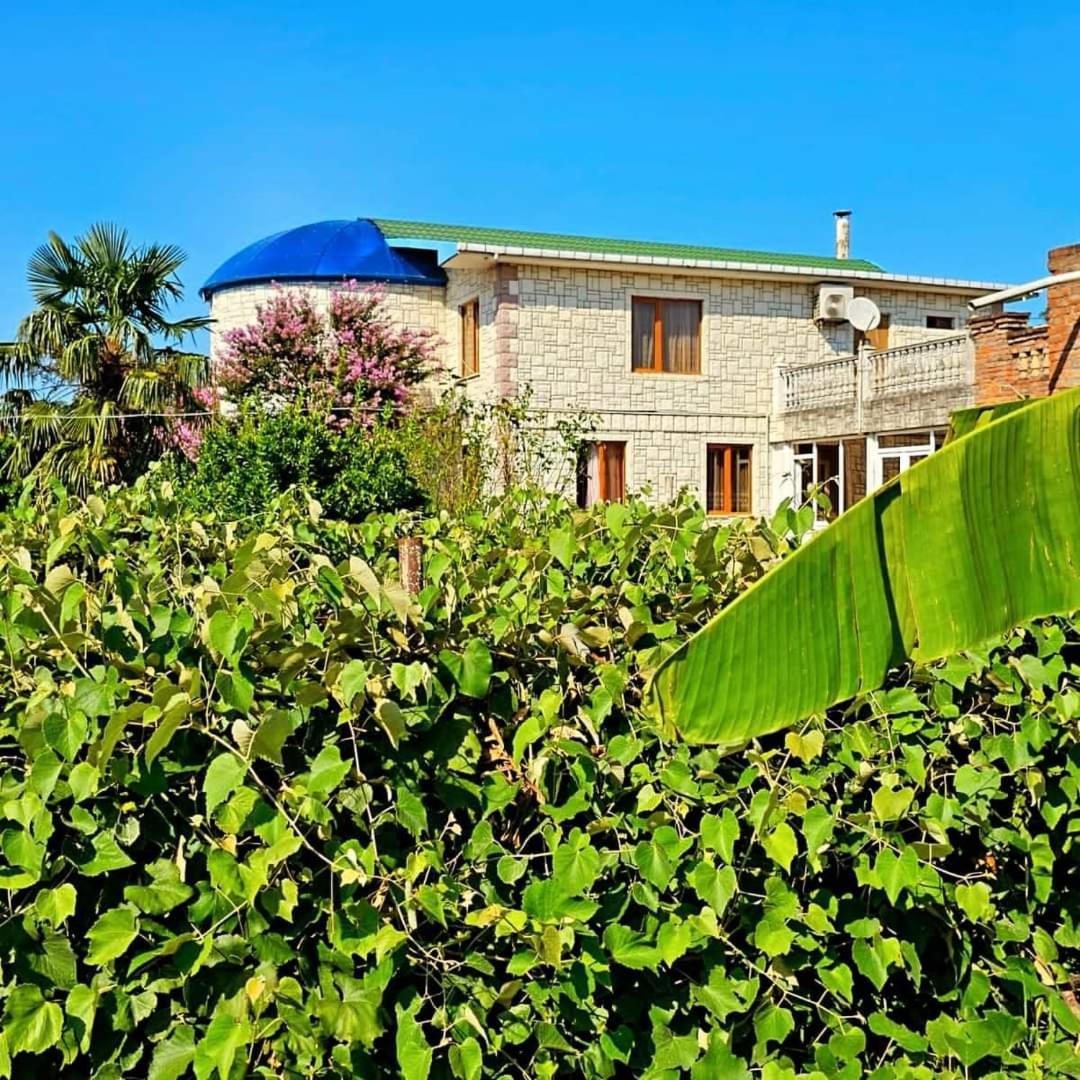 Blue Guest House Samtredia Esterno foto